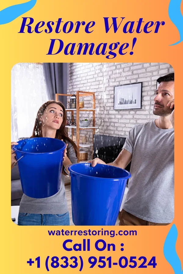 water restoration Empire Water Damage & Associates Kurtistown